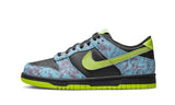 Dunk Low Acid Wash (GS)